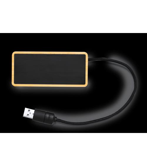 Puerto USB Ginger