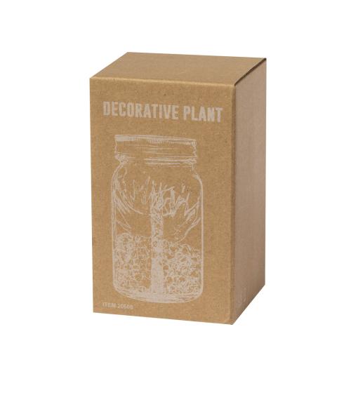 Planta Decorativa Kyala