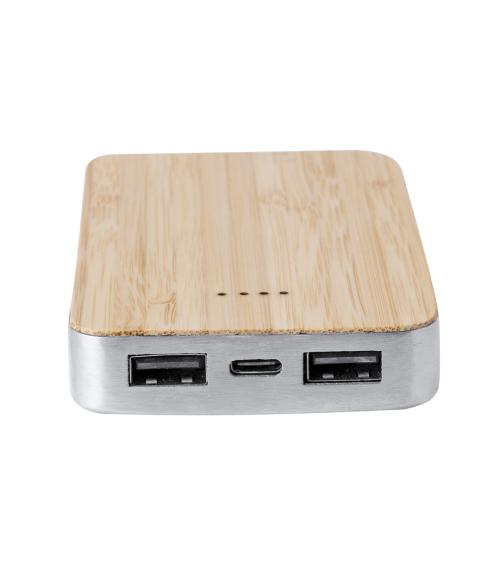 Power Bank Newin