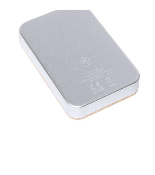 Power Bank Newin