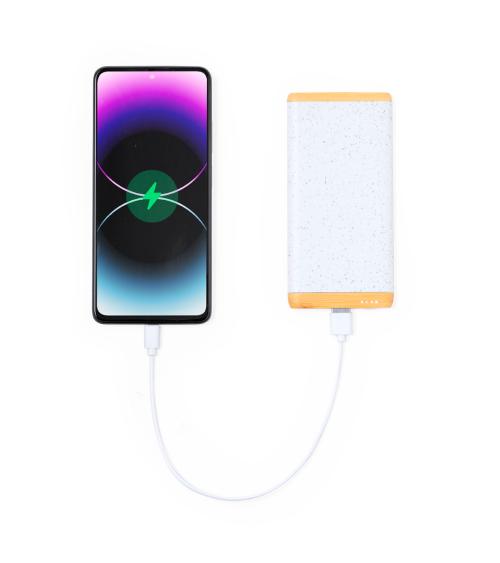 Power Bank Coquin