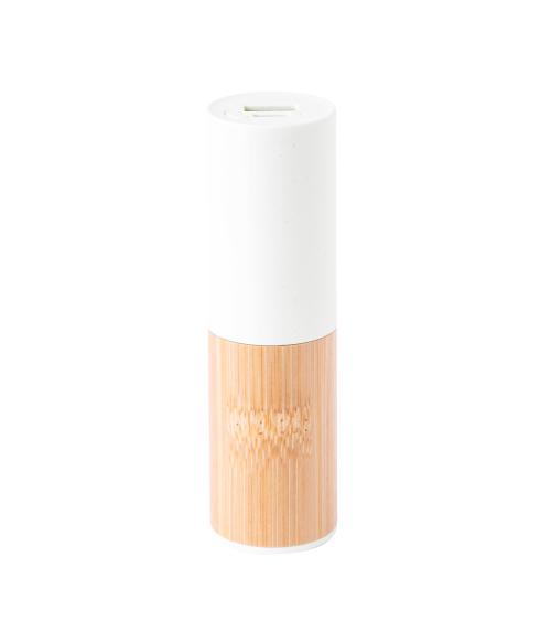 Power Bank Reneh