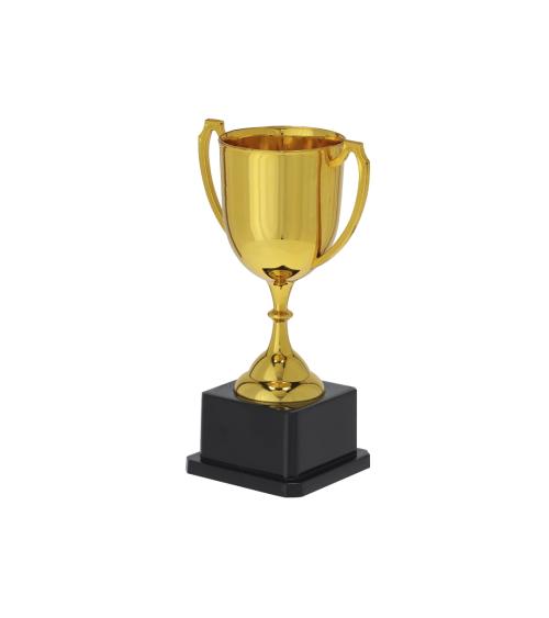 Trofeo Nynor