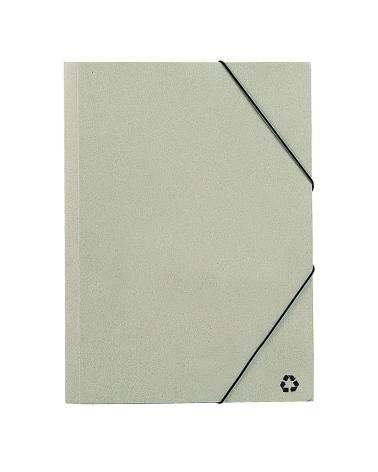 Carpeta Ecosum