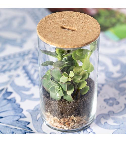 Terrarium Anymak