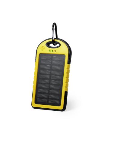 Power Bank Lenard