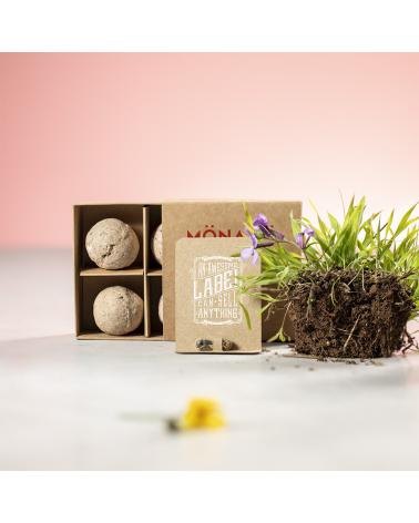 Capsula Semillas Biyok