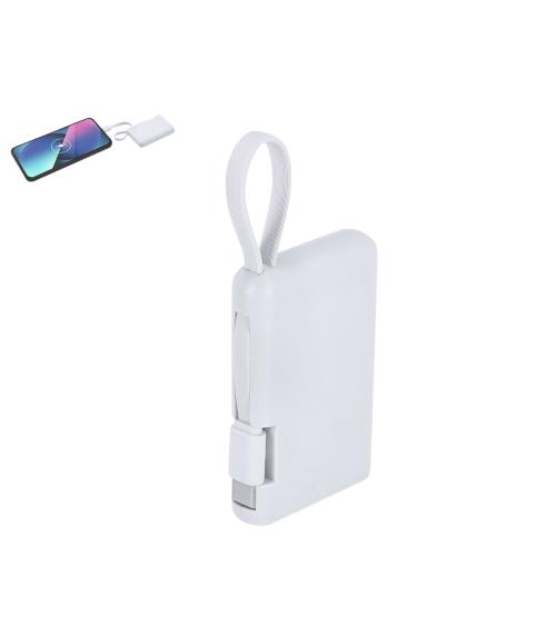Power Bank Brandin